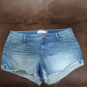 Torrid shorts 20